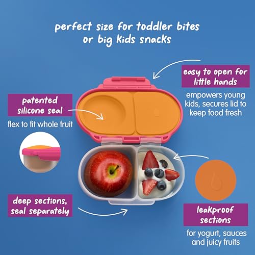 Snack Box Snack Containers for Kids