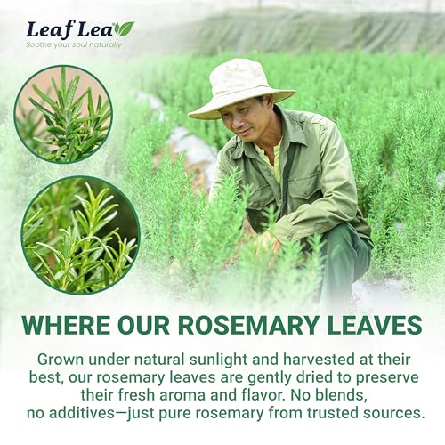 Rosemary Tea Bags (80 Count)