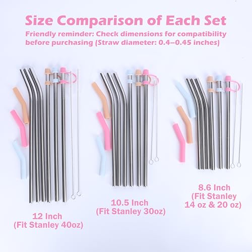 12" Stainless Steel Straws with Covers fit Stanl (6 Count)