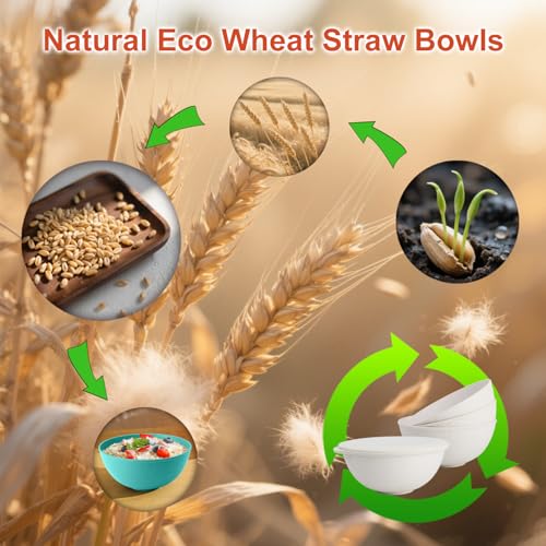 Plastic Bowls with Lids Set of 4