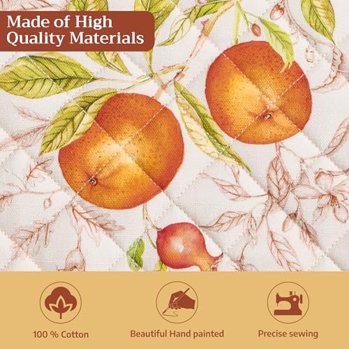 Pot Holders 100% Cotton Potholders (2 Count)