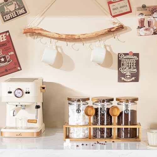 Coffee Canister with Shelf (3 Count)