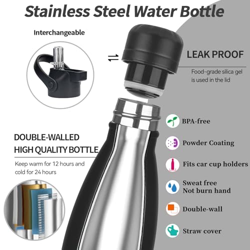 Insulated Water Bottle (2 Count)