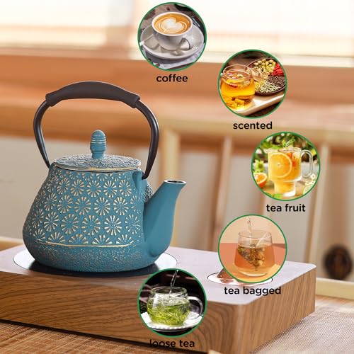 Cast Iron Teapot