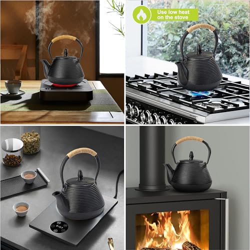 Japanese Tetsubin Tea Kettle Cast Iron Teapot with Stainless Steel Infuser 30 oz