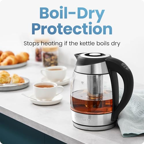 Electric Kettle with Temperature Control