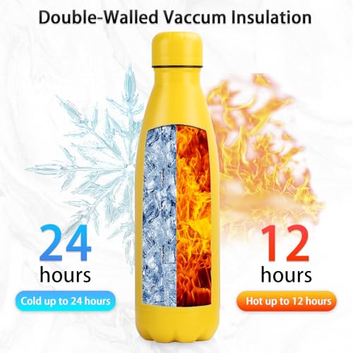 Insulated Water Bottle