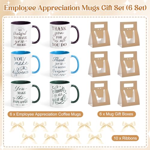6 Set Employee Appreciation Gifts 12 oz Thank You Mug and Mug Box (6 Count)