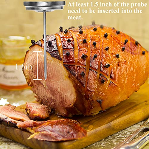 2 Pieces Meat Thermometer for Roaster Oven (2 Count)