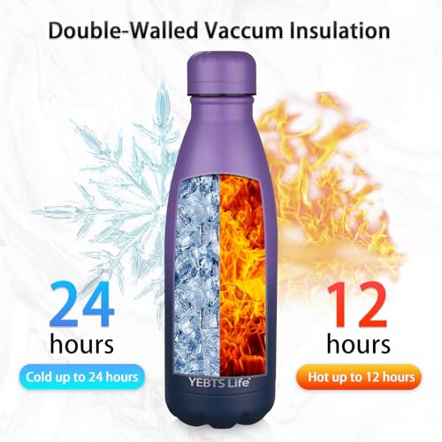 Insulated Water Bottle (2 Count)