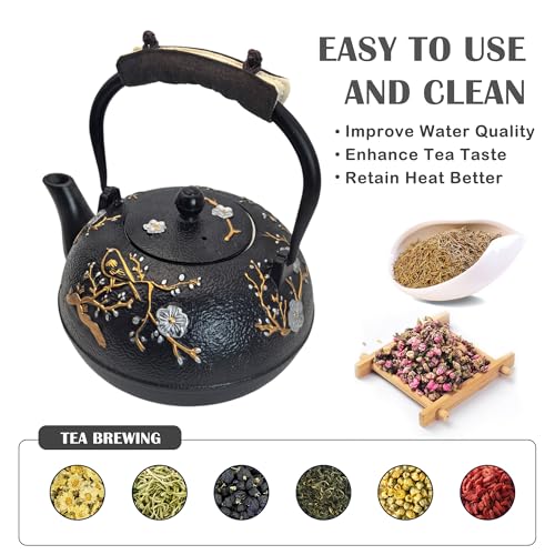 Cast Iron Teapot SECHUDO Teapot for Stovetop Safe Coated with Enameled Interior