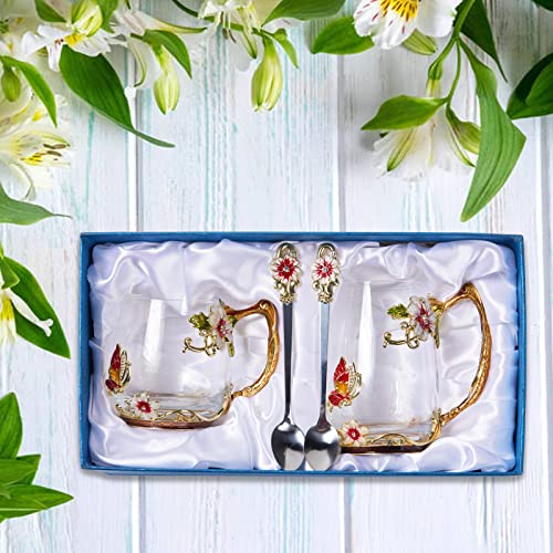 Tea Cup Glass Coffee Mugs (2 Count)