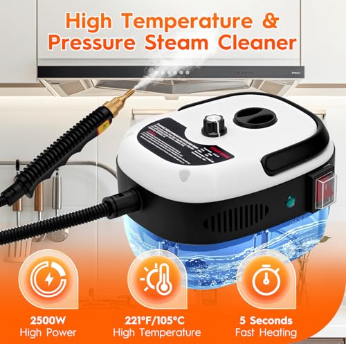 Steam Cleaner for Home