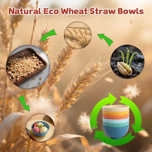 Small Wheat Straw Bowls Set of 6