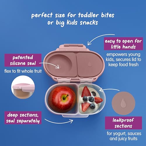 Snack Box Snack Containers for Kids