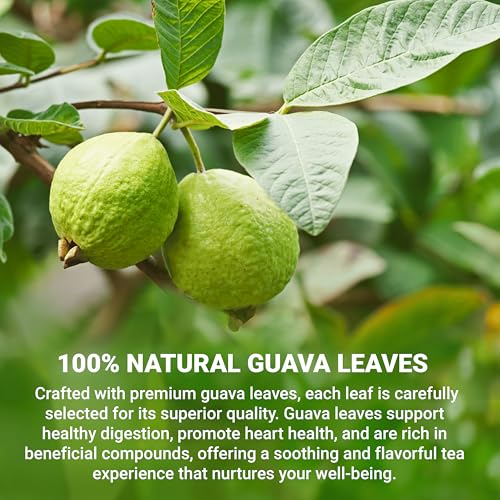 Guava Leaf Tea Bags (120 Count)