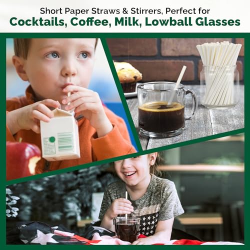 400 Pack] Compostable Short Paper Straws Individually Wrapped (400 Count)