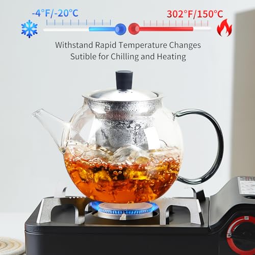 28OZ Glass Teapot with Infuser Stovetop Safe
