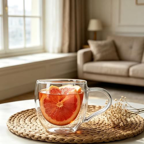 Double Wall Glass Coffee Mugs with Handle (2 Count)