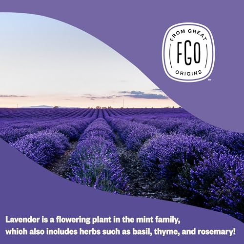 Organic Dried Lavender Flowers (16 Ounce)