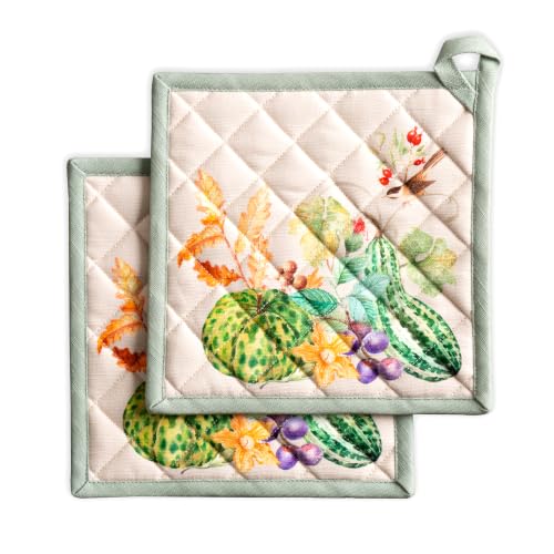 Pot Holders 100% Cotton Potholders (2 Count)