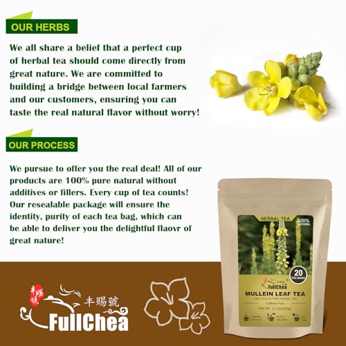 Mullein Tea Bags (20 Count)