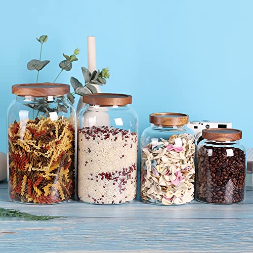 1 Gallon Glass Jar with Airtight Lid and Anti