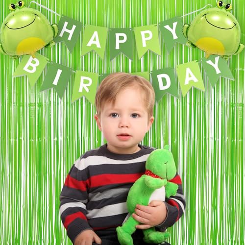 Pastel Green Streamers Party Backdrop Decorations 2 Pack (2 Count)