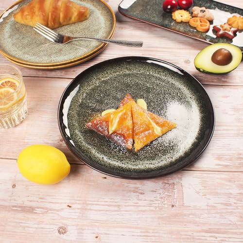 Ceramic Dinner Plates Dish Set (4 Count)