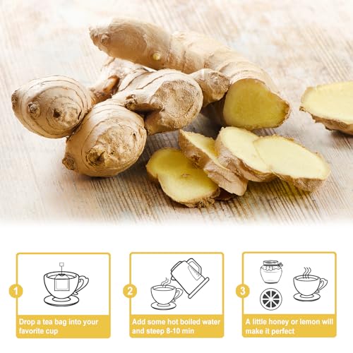 Ginger Tea Bags (64 Count)