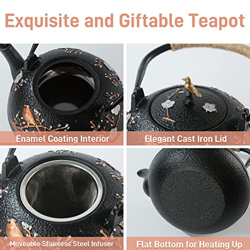 Cast Iron Teapot SECHUDO Teapot for Stovetop Safe Coated with Enameled Interior