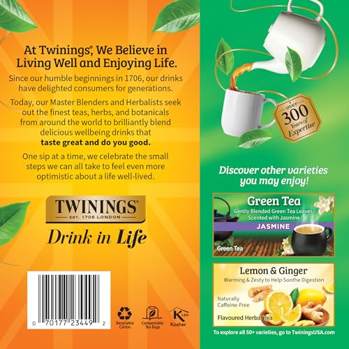 Pure Green Tea (100 Count)