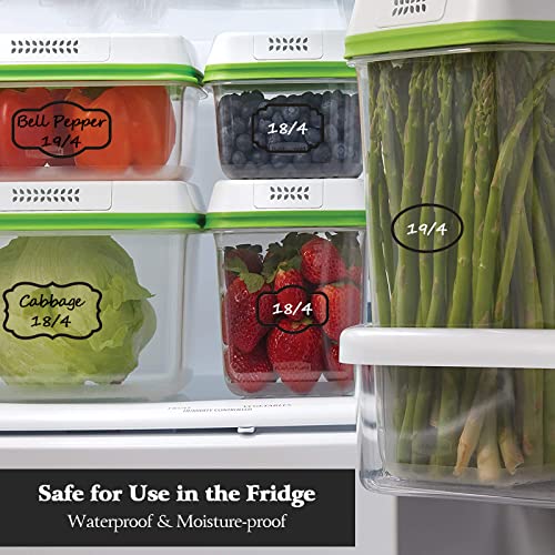 Kitchen Pantry Food Containers Clear Labels with Black Border