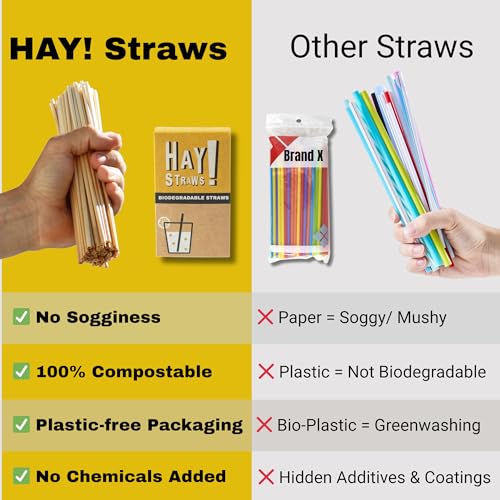HAY! Stir Natural coffee stir sticks (500 Count)
