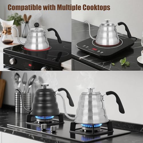 Tea Kettle with Thermometer
