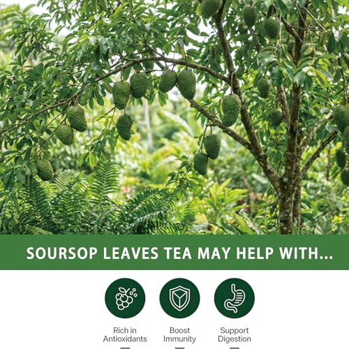 Soursop Leaves Tea Bags (40 Count)