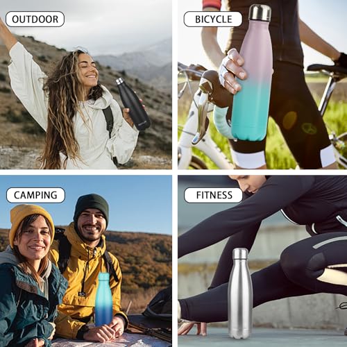 Insulated Water Bottle (2 Count)