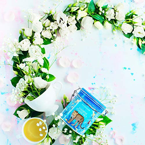 White Jasmine Dragon Pearl Tea (15 Count)