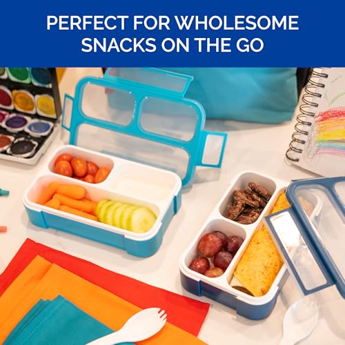 Small Snack Box Containers for Kids Toddlers (2 Count)