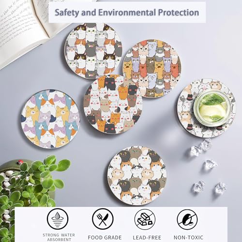 Drink Coasters Set of 6 with Holder