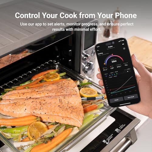 Sub 1G Smart Wireless Meat Thermometer with Standalone Base