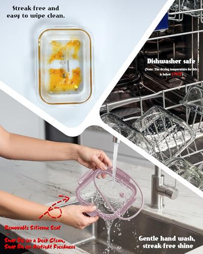 12 Pack Glass Containers with Tempered Lids (12 Count)
