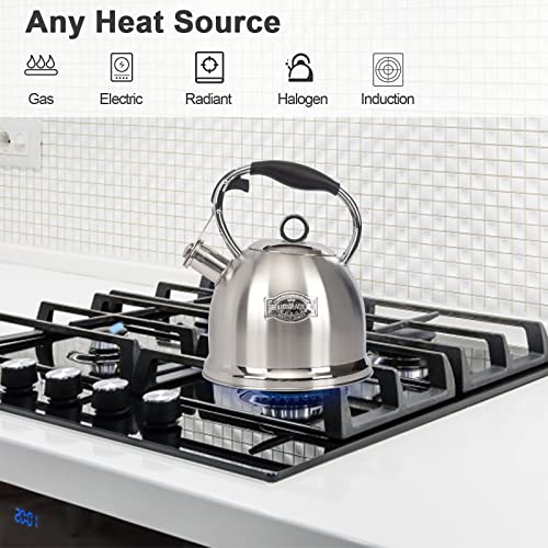 Tea Kettle for Stovetop