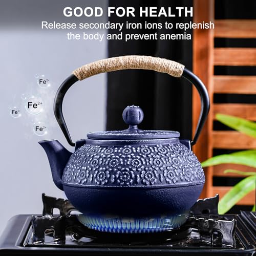 Cast Iron Teapot