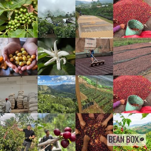 Tuscan Blend Roasted by Zoka Coffee (12 Ounce)
