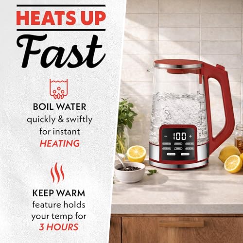 Electric Glass Kettle