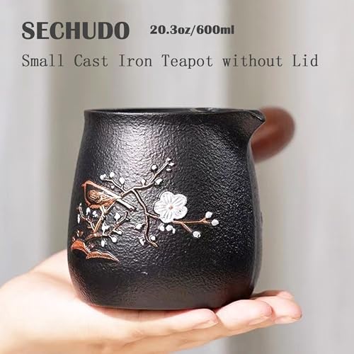 Small Cast Iron Teapot
