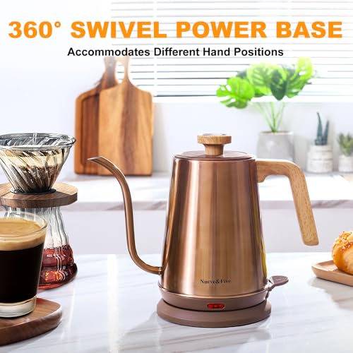 Electric Gooseneck Kettle with Thermometer