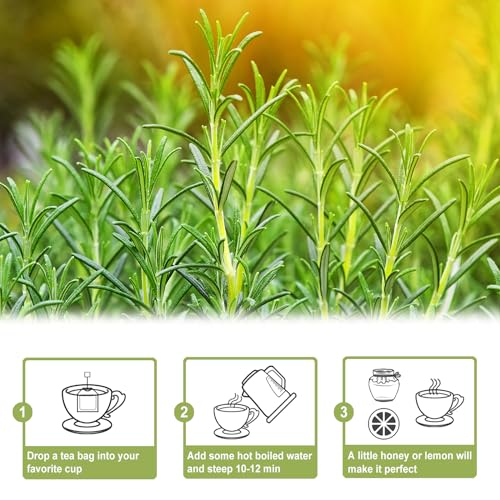 Rosemary Tea Bags (50 Count)