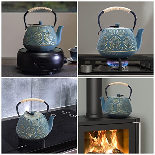 Cast Iron Teapot